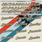 Custom Cream Red Blue-Black 3D Pattern Design Formula Auto Car Racing Motorsport Sports Pullover Sweatshirt Hoodie