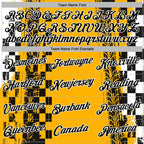 Custom Yellow Black-White 3D Pattern Design Formula Auto Car Racing Motorsport Sports Pullover Sweatshirt Hoodie