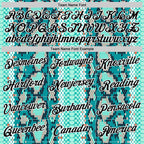 Custom Stitched Aqua Black-White 3D Pattern Design Snake Skin Print Sportswear Pullover Sweatshirt Hoodie