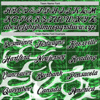 Custom Stitched Green Black-White 3D Pattern Design Snake Skin Print Sportswear Pullover Sweatshirt Hoodie