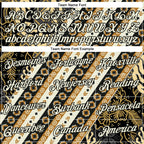 Custom City Cream Black 3D Pattern Design Western Cowboy Tribal Ethnic Sports Pullover Sweatshirt Hoodie