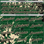 Custom Stitched Green Black-Cream 3D Pattern Design Splash Sports Pullover Sweatshirt Hoodie
