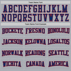 Custom Gray US Navy Blue-Red 3D Pattern Design Game Day Columbus Inspired Sports Pullover Sweatshirt Hoodie