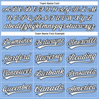 Custom Stitched Light Blue White-Black 3D Skull Pattern Pullover Sweatshirt Hoodie