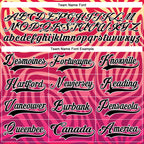 Custom Pink Black-White 3D Pattern Zebra Print Hockey Lace Neck Jersey