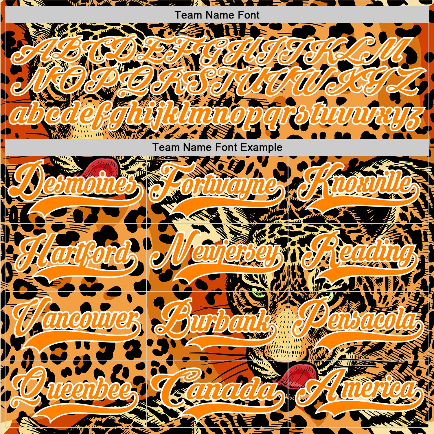 Custom Bay Orange Black-White 3D Pattern Leopard Print Hockey Lace Neck Jersey