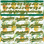 Custom Stitched White Kelly Green-Bay Orange 3D Pattern Design Fruit Pineapples Sports Pullover Sweatshirt Hoodie