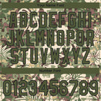 Custom Stitched Camo Olive-Black 3D Hawaii Palm Plant Sports Pullover Sweatshirt Salute To Service Hoodie