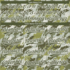 Custom Stitched Camo Olive-White 3D Sports Pullover Sweatshirt Salute To Service Hoodie