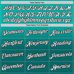 Custom Aqua Teal-Black Fade Fashion Performance T-Shirt