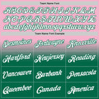 Custom Stitched Light Pink White-Kelly Green Fade Fashion Sports Pullover Sweatshirt Hoodie