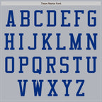 Custom Gray Royal Authentic Baseball Jersey