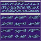 Custom Purple Light Blue Pink-Black Bomber Full-Snap Varsity Letterman Two Tone Hoodie Jacket