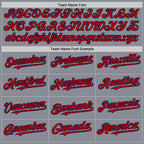Custom Gray Red-Navy Bomber Full-Snap Varsity Letterman Hoodie Jacket