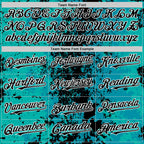 Custom Teal Black-White 3D Pattern Design Bomber Full-Snap Varsity Letterman Hoodie Jacket