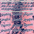 Custom Pink Navy-White 3D Pattern Design Bomber Full-Snap Varsity Letterman Hoodie Jacket