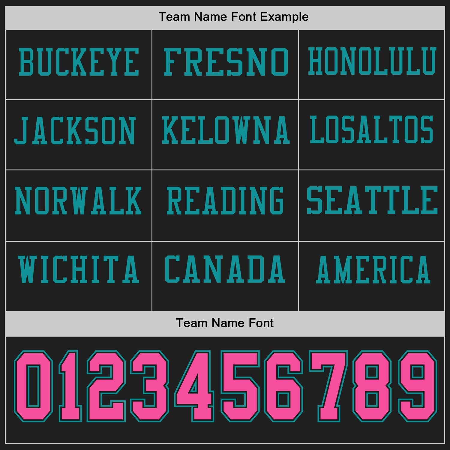 Custom Black Pink-Teal Long Sleeve Authentic Football Jersey