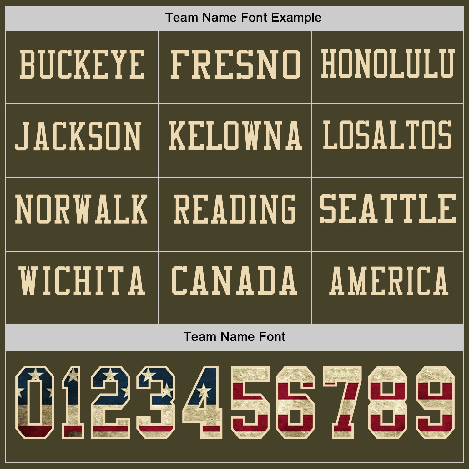 Custom Olive Vintage USA Flag-Cream Long Sleeve Salute To Service Authentic Football Jersey
