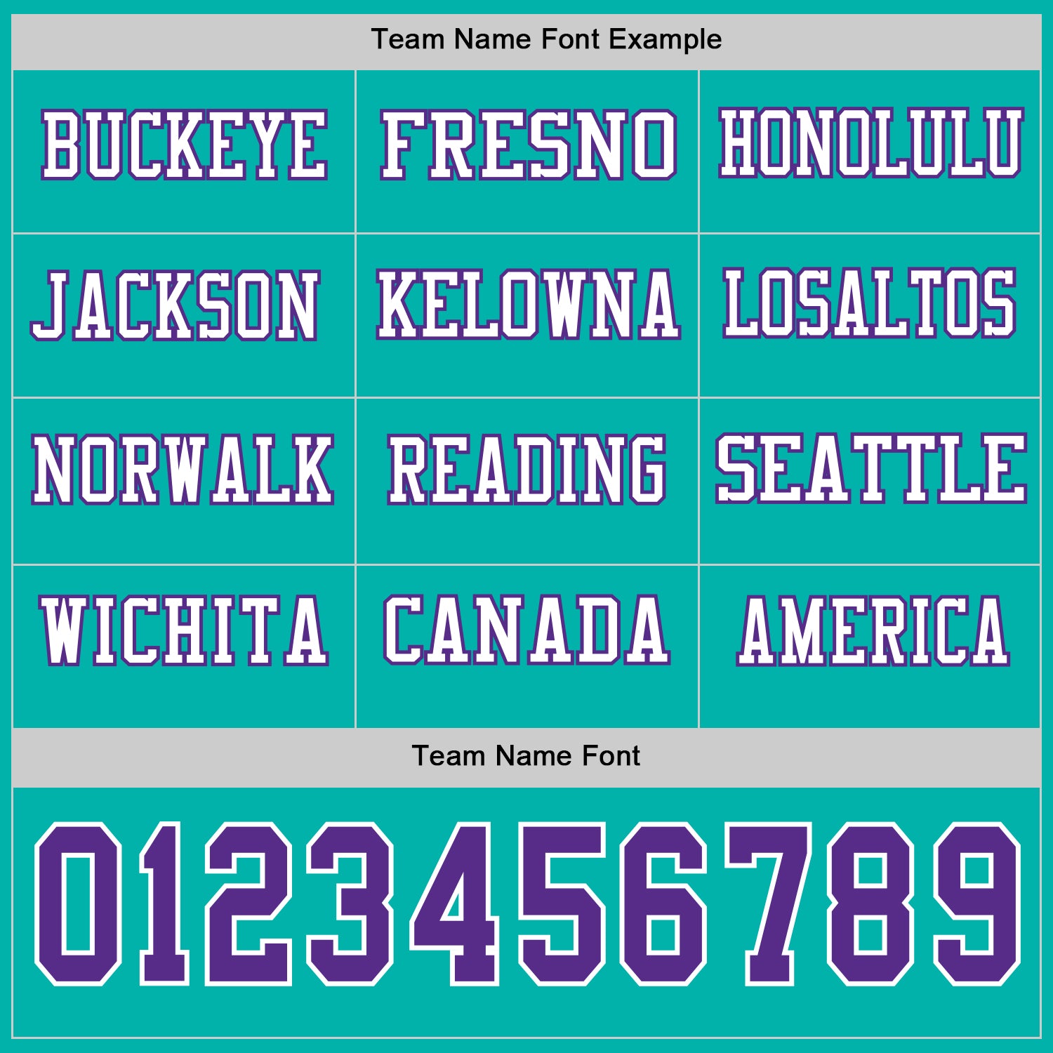 Custom Aqua Purple-White Long Sleeve Authentic Football Jersey