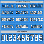 Custom Powder Blue White-Black Long Sleeve Authentic Football Jersey