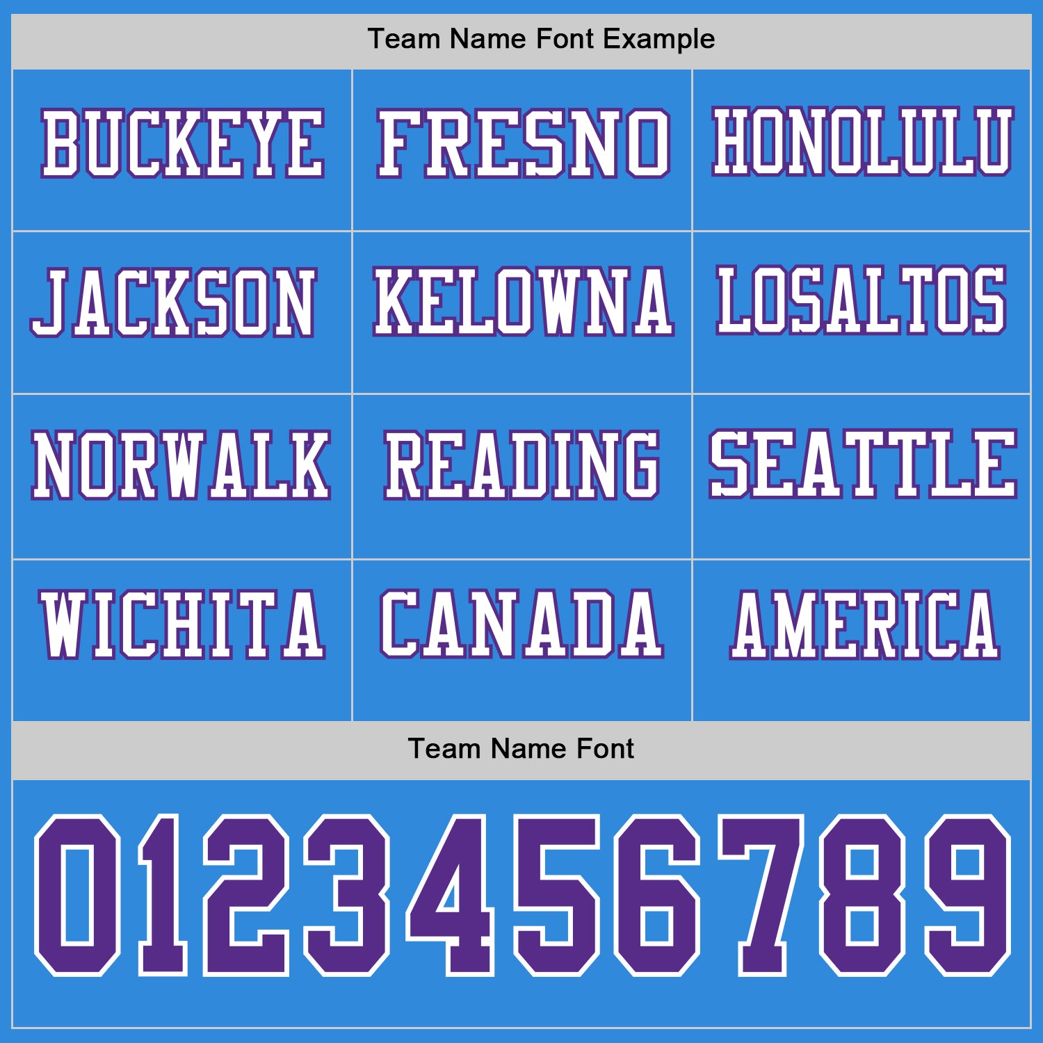 Custom Powder Blue Purple-White Long Sleeve Authentic Football Jersey