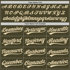 Custom Stitched Olive Cream-Olive Baseball Pullover Sweatshirt Hoodie