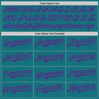 Custom Teal Purple Authentic Baseball Jersey